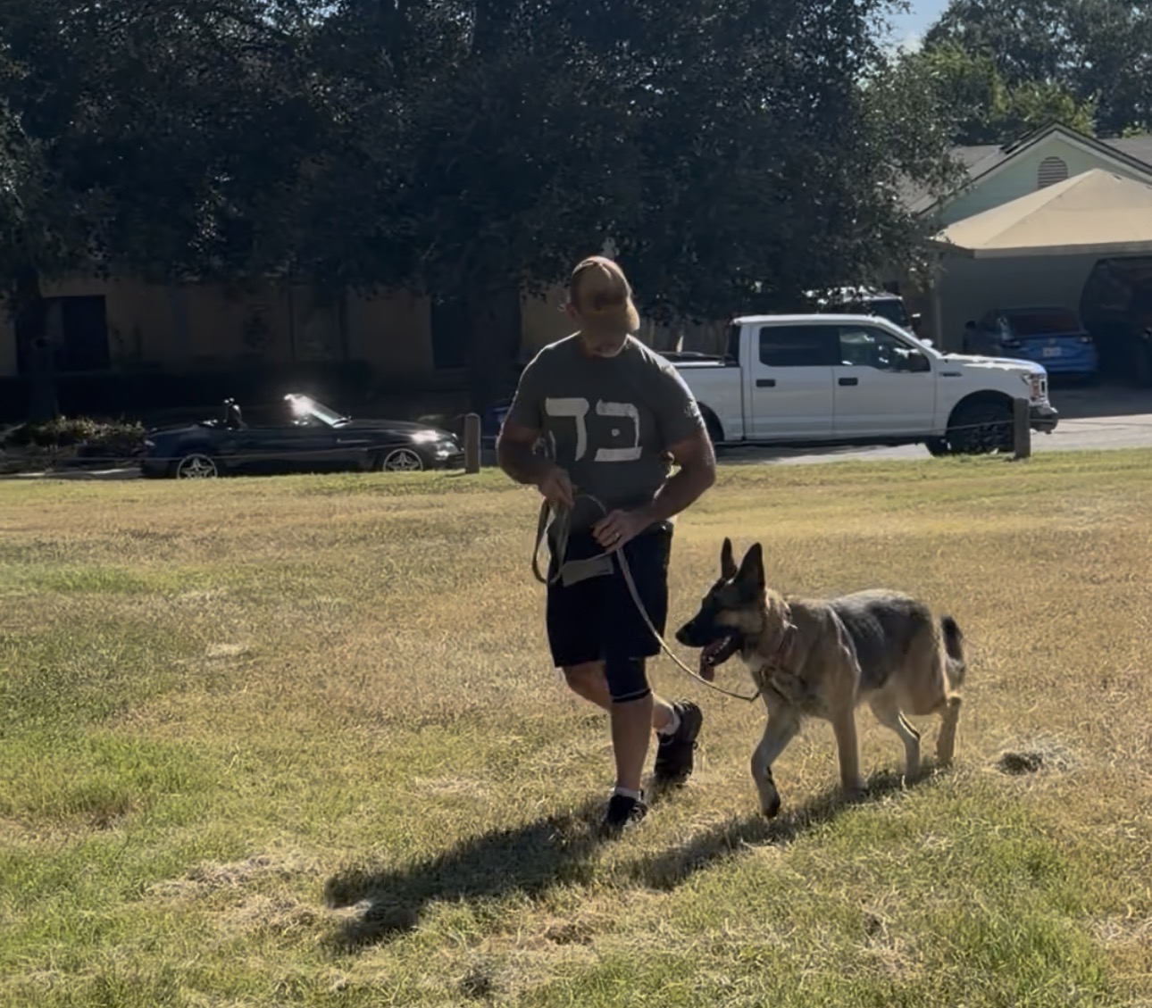 Sheeba sitting calmly beside her handler during a private lesson